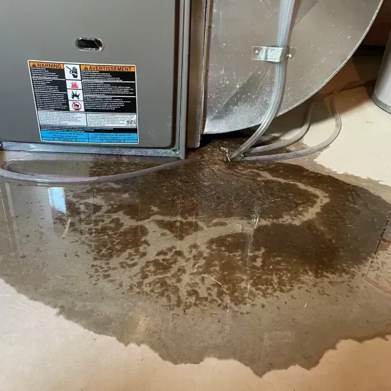 Appliance Leak Cleanup in Shively, KY